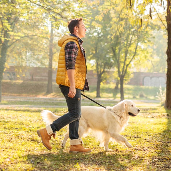 The importance of “smelly walks”|Tails Animal Chiropractic Care