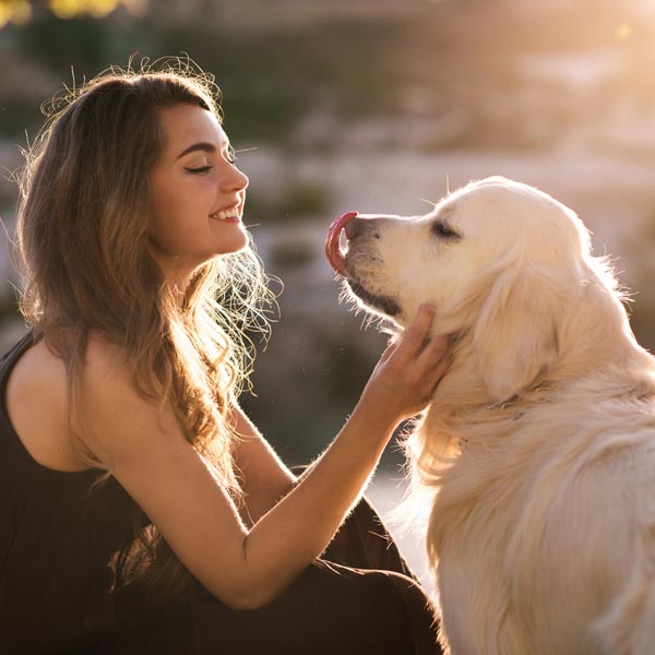 How can chiropractic care help with incontinence issues in dogs?