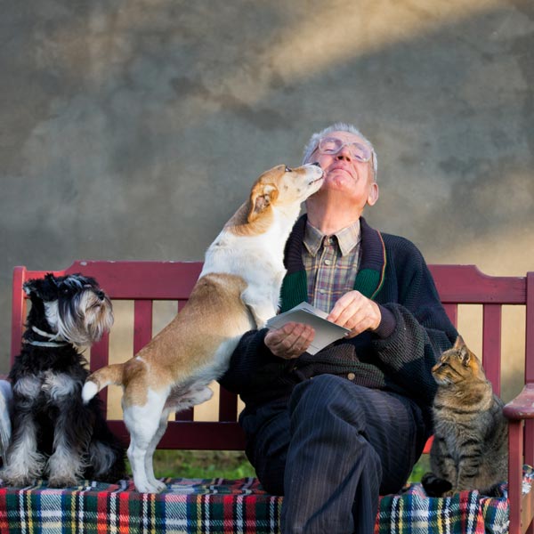 5 Ways to help your Senior Dog be as happy and healthy as possible
