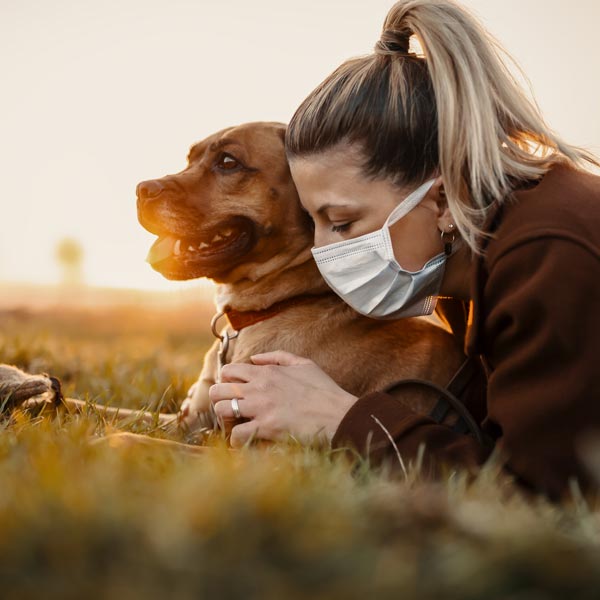 Choosing the best animal chiropractor for your dog