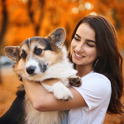 The Real Benefits You Can Expect from Pet Chiropractic Care