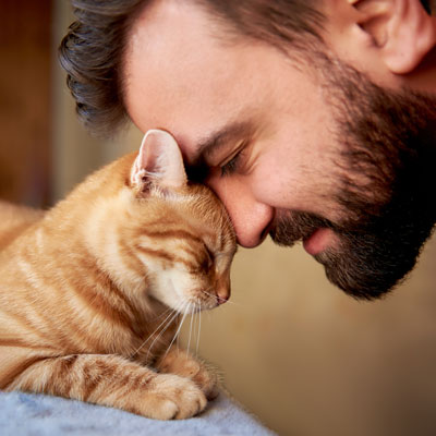 Alleviating Arthritis in Cats through Pet Chiropractic Care