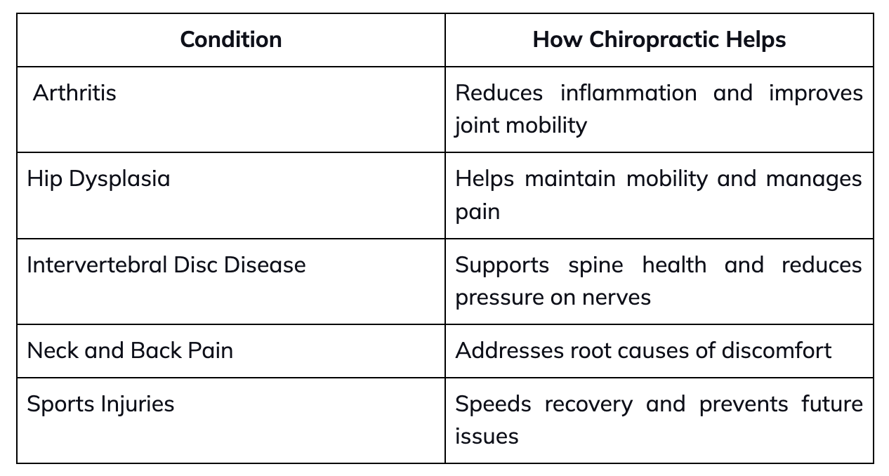 Conditions That Benefit From Chiropractic Care