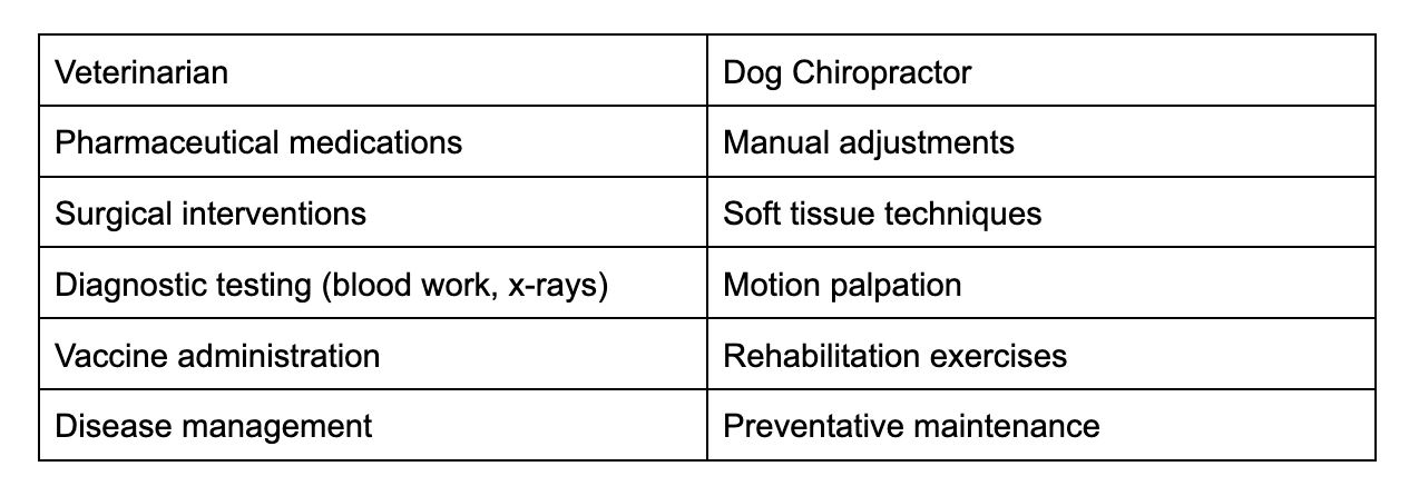 Veterinarian vs Dog Chiropractor