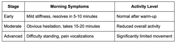 Early disc disease warning signs