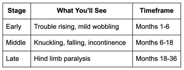 The progression timeline
