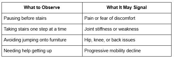 Stair & Jump Hesitation Check
