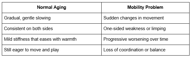What's Normal Aging vs. a Mobility Problem?