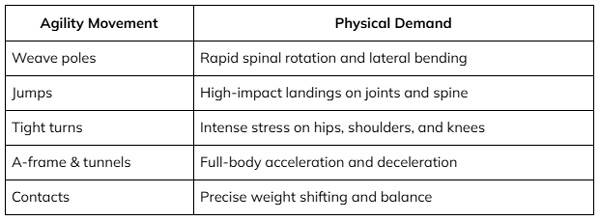 Enhancing Athletic Performance and Recovery