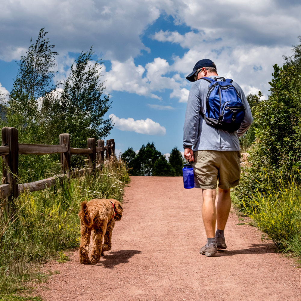 How to Keep Your Pet Safe on the Trails This Summer - Animal Chiropractic Tips