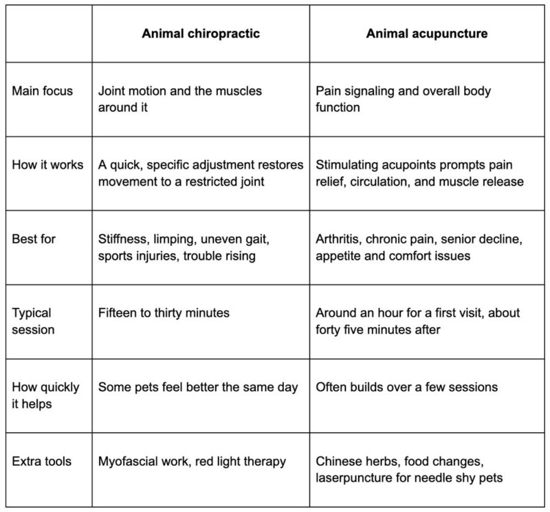 Animal chiropractic vs acupuncture at a glance