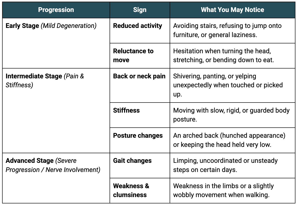 Signs and symptoms of degenerative disc disease in dogs