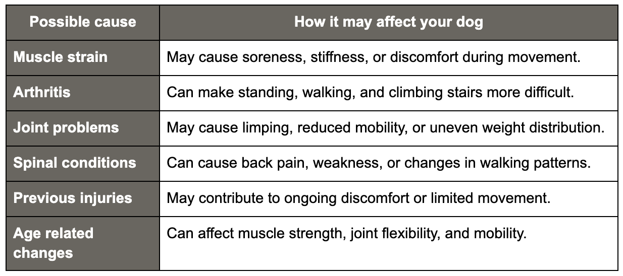 Common causes of mobility problems in dogs